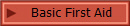 Basic First Aid 