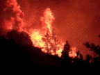 fire
